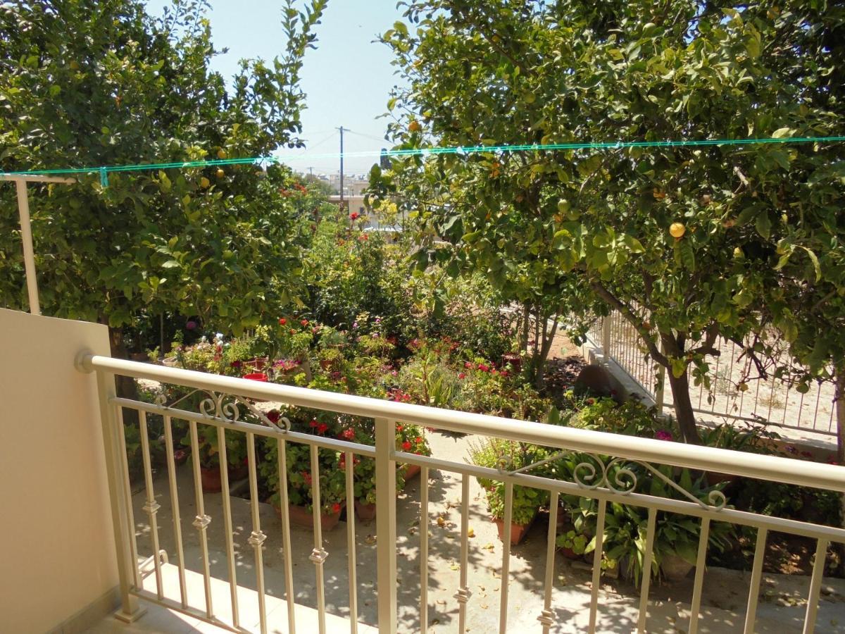 Niki Court Holiday Apartments Pafos Zewnętrze zdjęcie