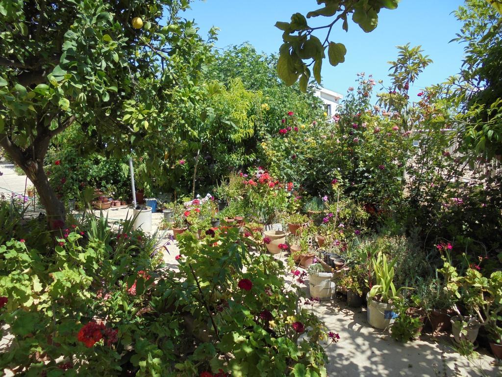 Niki Court Holiday Apartments Pafos Zewnętrze zdjęcie