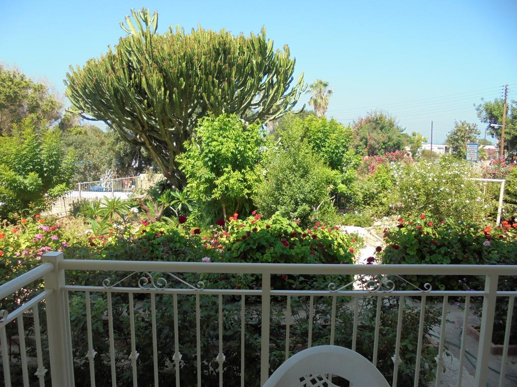 Niki Court Holiday Apartments Pafos Zewnętrze zdjęcie